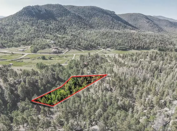 Lake George, CO 80827,183 Cheyenne TRL