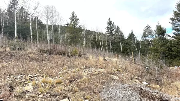 Central City, CO 80427,001 Hooper ST