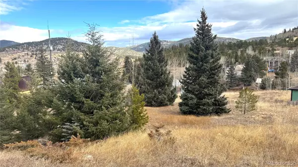 Central City, CO 80427,001 Hooper ST