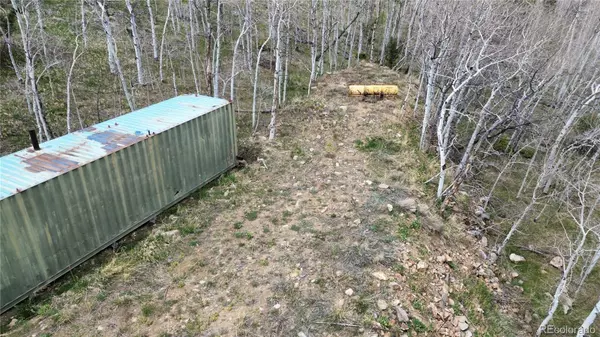 Idaho Springs, CO 80452,112 Mule Deer TRL