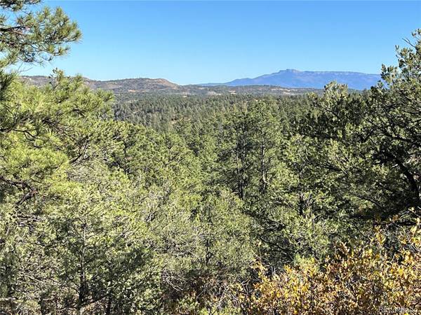 Weston, CO 81091,Rancho La Garita Lot 1147