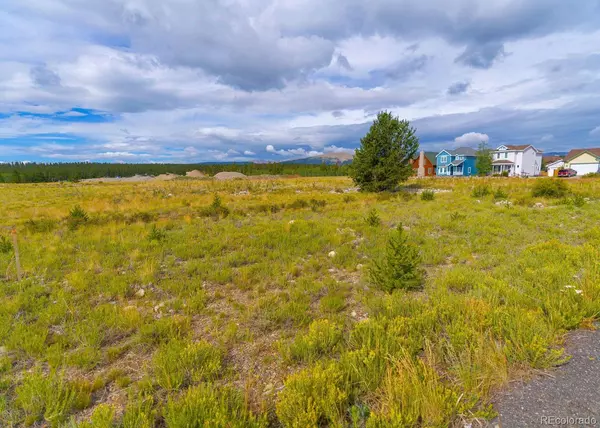 Fairplay, CO 80440,0 Platte DR