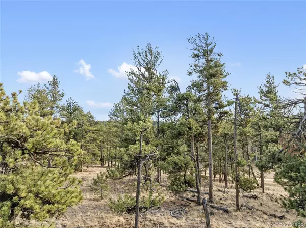 Lake George, CO 80827,263 Valley DR