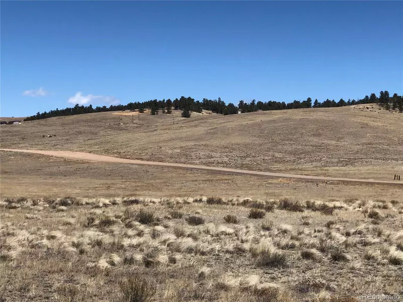 121 Commanche TRL, Hartsel, CO 80449