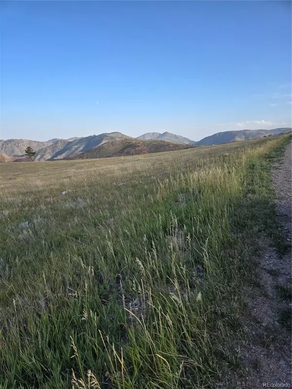 Livermore, CO 80536,443 Meadow Mountain DR