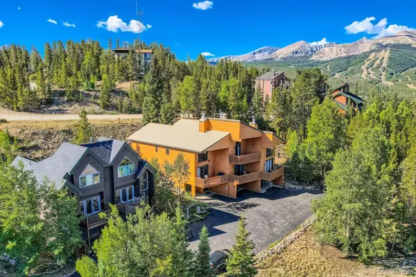1682 Boreas Pass RD #C, Breckenridge, CO 80424