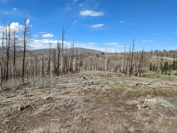 Fort Garland, CO 81133,971 Huntington LN