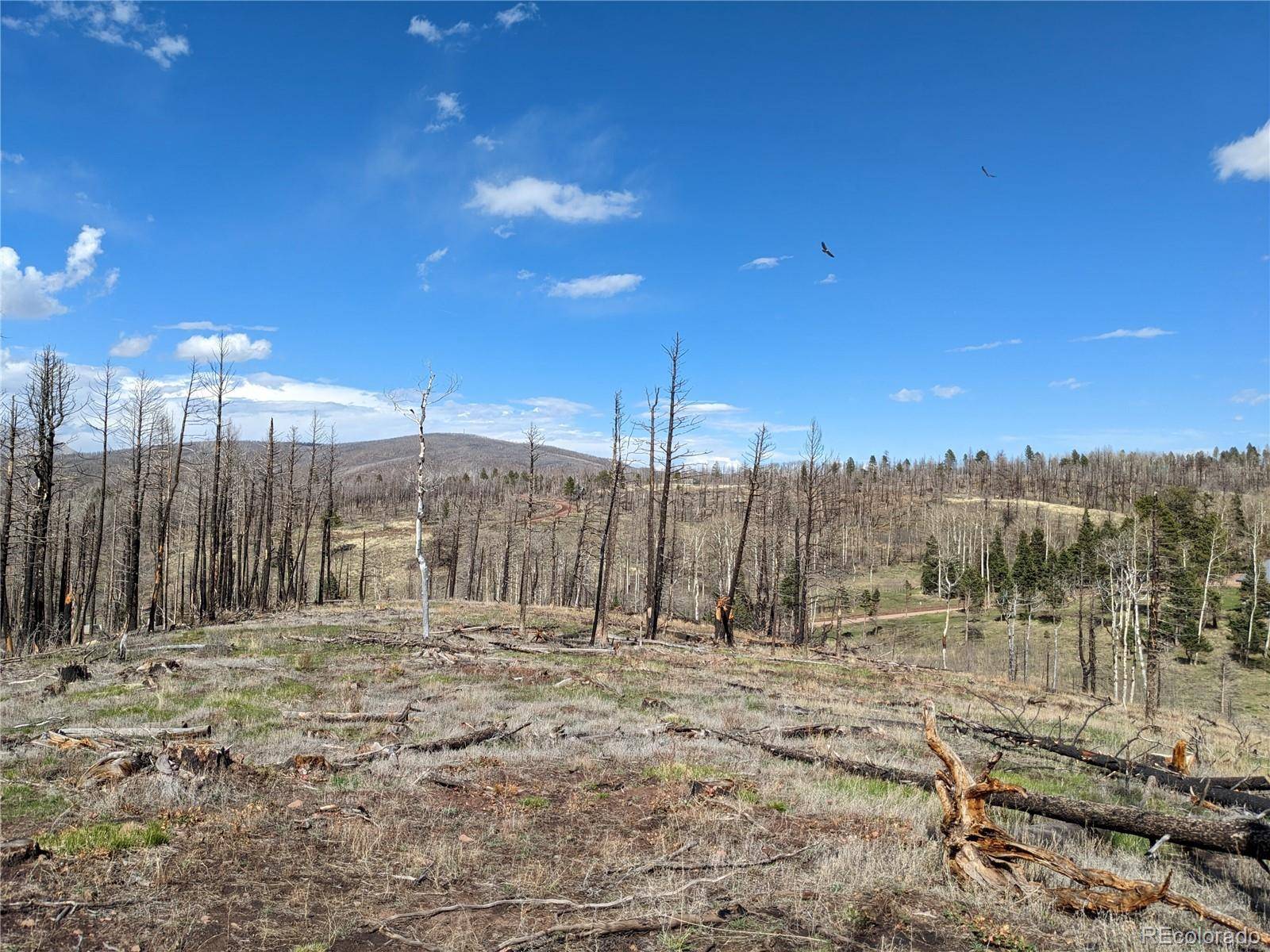 Fort Garland, CO 81133,971 Huntington LN