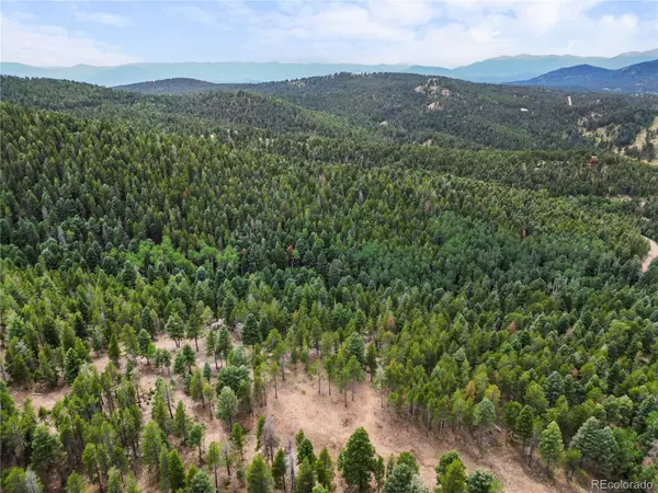 12329 Powhatan TRL,  Conifer,  CO 80433