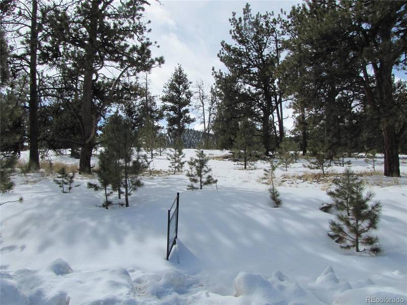 3218 S Muley Gulch DR, Hartsel, CO 80449