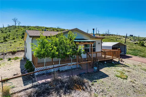 Cotopaxi, CO 81223,247 Shannon TRL