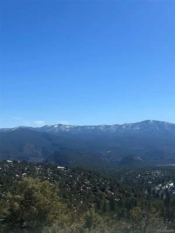 1010 Middle Camp RD, Howard, CO 81233