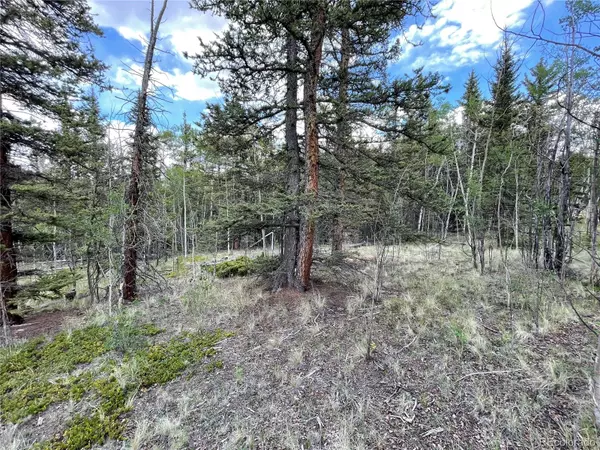 Jefferson, CO 80456,80 Haida WAY