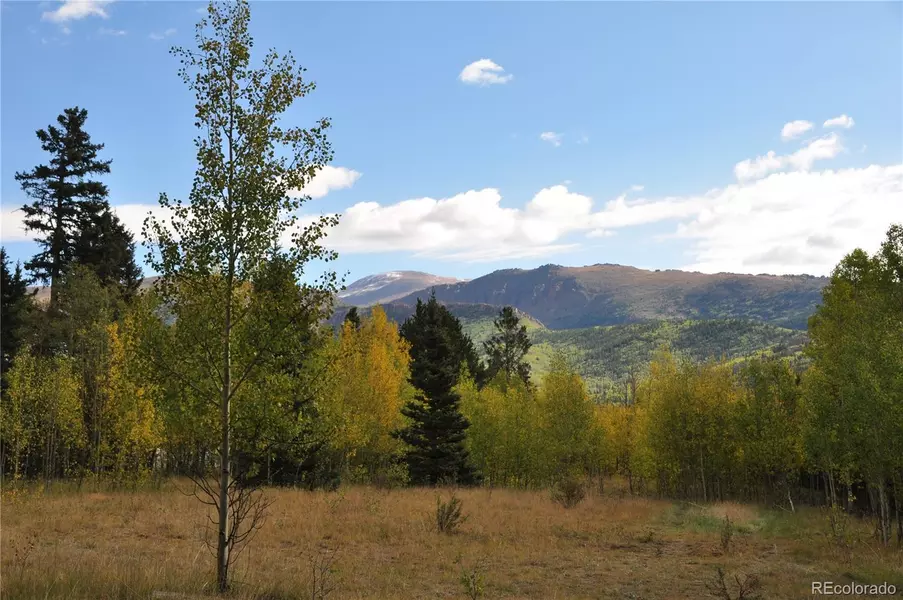 633 County Road 61, Florissant, CO 80816