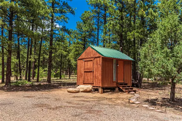 Weston, CO 81091,13250 Mountain Meadow TRCE