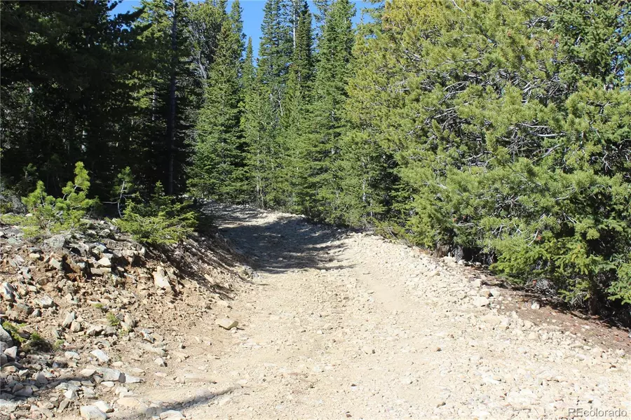 99 FS 411.1, Black Hawk, CO 80422