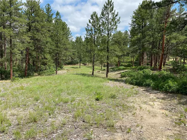 Larkspur, CO 80118,7212 Rose Crown CT