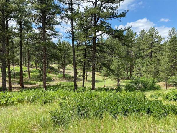 7212 Rose Crown CT, Larkspur, CO 80118