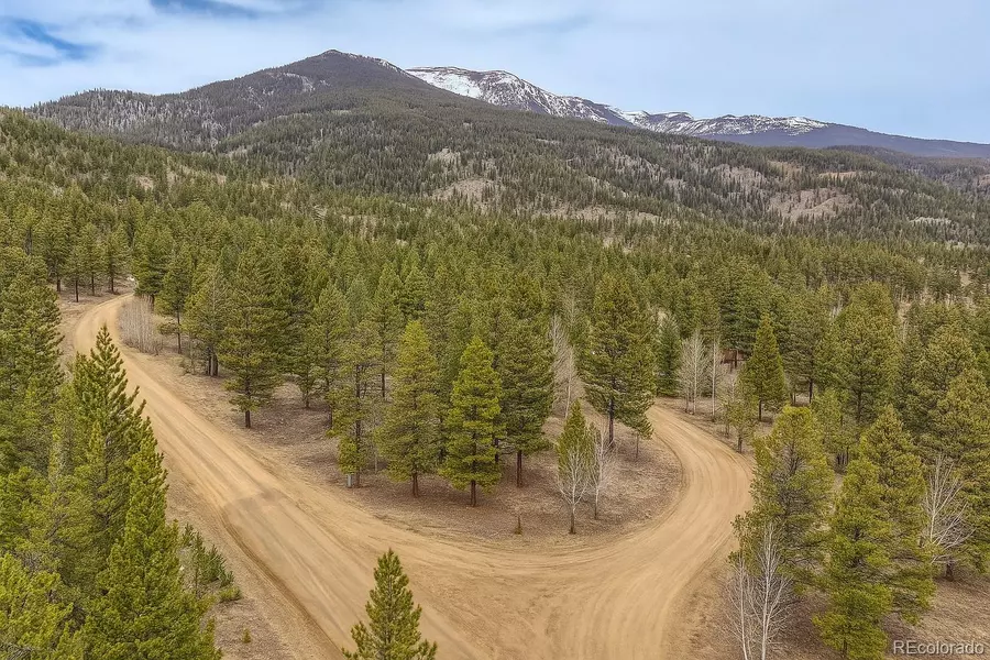 30406 National Forest DR, Buena Vista, CO 81211