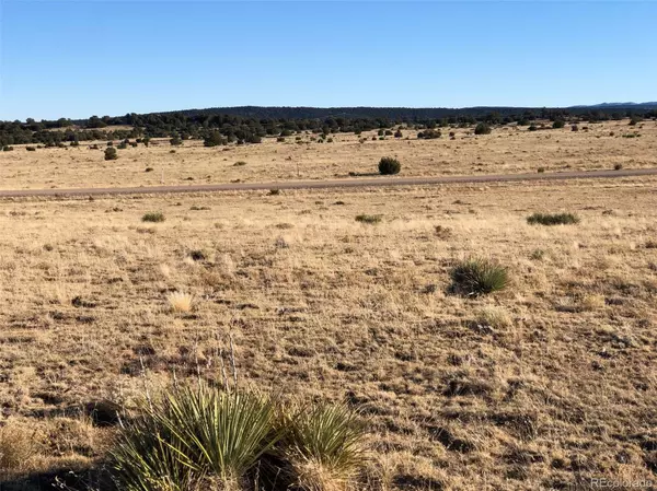 Walsenburg, CO 81089,Lot 204 Rio Cucharas Phs 1