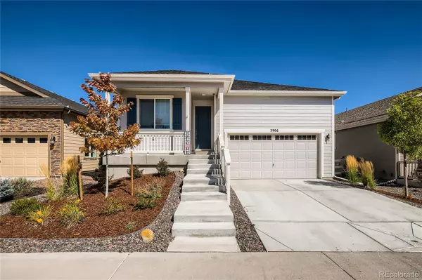 3906 John AVE, Castle Rock, CO 80104