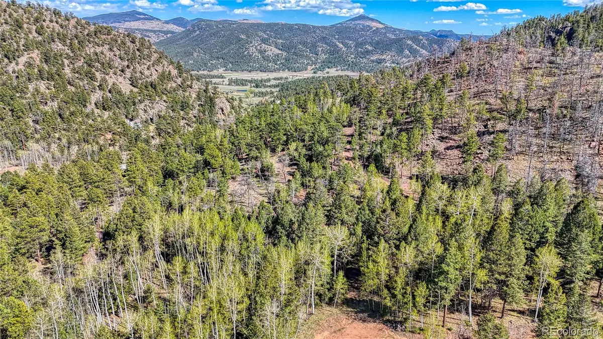 Florissant, CO 80816,56 Fir LN