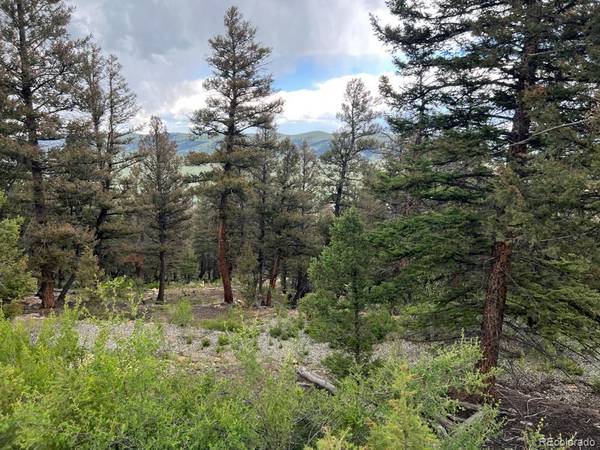 1720 Middle Fork VIS, Fairplay, CO 80440