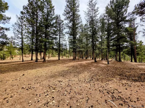 Bailey, CO 80421,Elk Horn CT