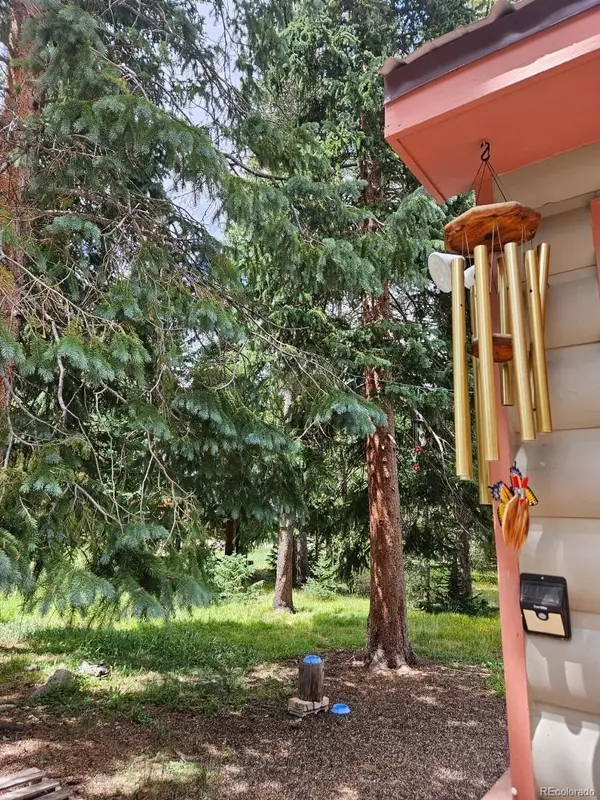 Blue River, CO 80424,19 Hinterland TRL