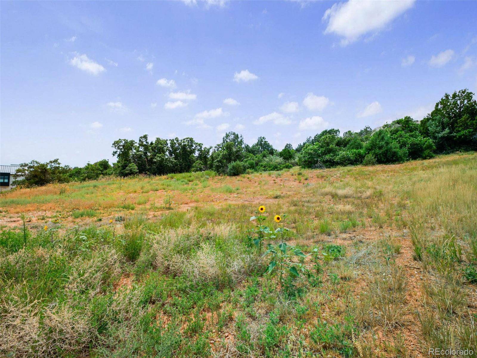 Littleton, CO 80125,7983 Raphael LN
