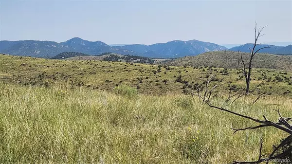 TBD L 32nd TRL, Cotopaxi, CO 81223