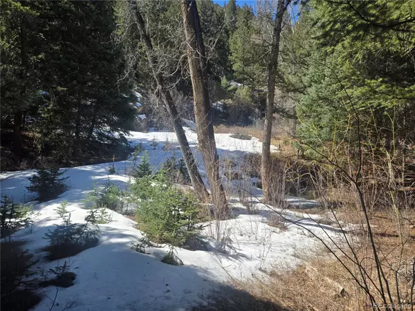 Idaho Springs, CO 80452,Fall River RD