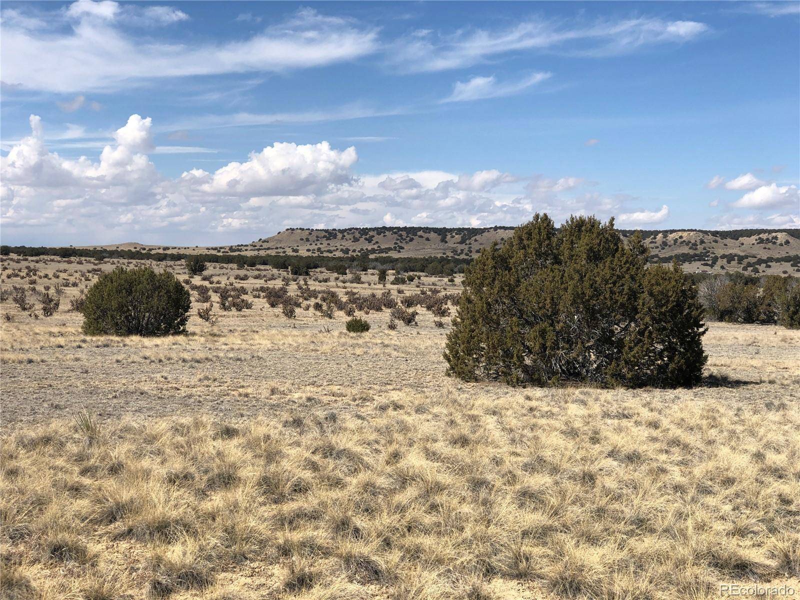 Model, CO 81059,lots 4&5 Longhorn Ranch