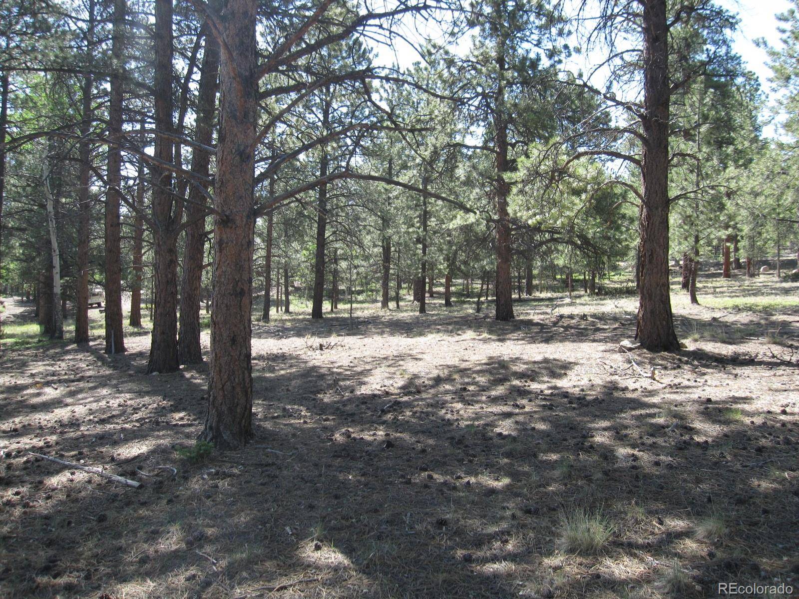 Buena Vista, CO 81211,30423 Harvard CIR