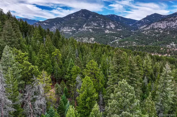 Evergreen, CO 80439,33864 Bergen View TRL