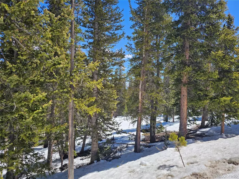 318 El Lobo LN, Fairplay, CO 80440