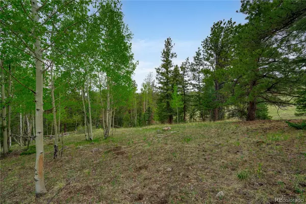 Cripple Creek, CO 80813,333 Stratton CIR