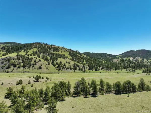 00 Elk Mountain RD,  Guffey,  CO 80820