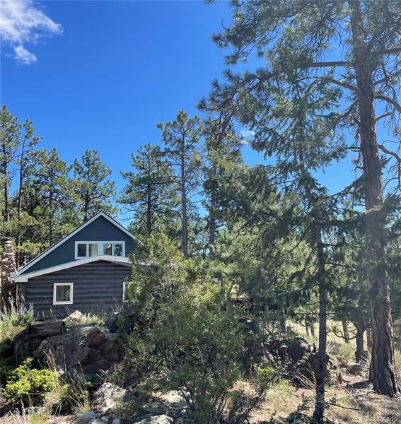 33998 Mineral LN, Pine, CO 80470