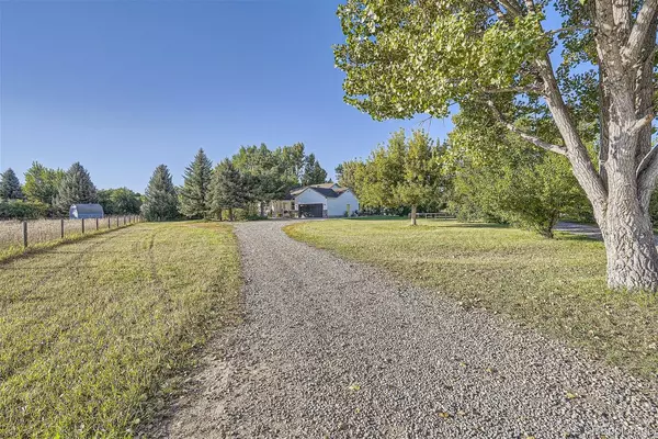 Niwot, CO 80503,6957 Peppertree DR