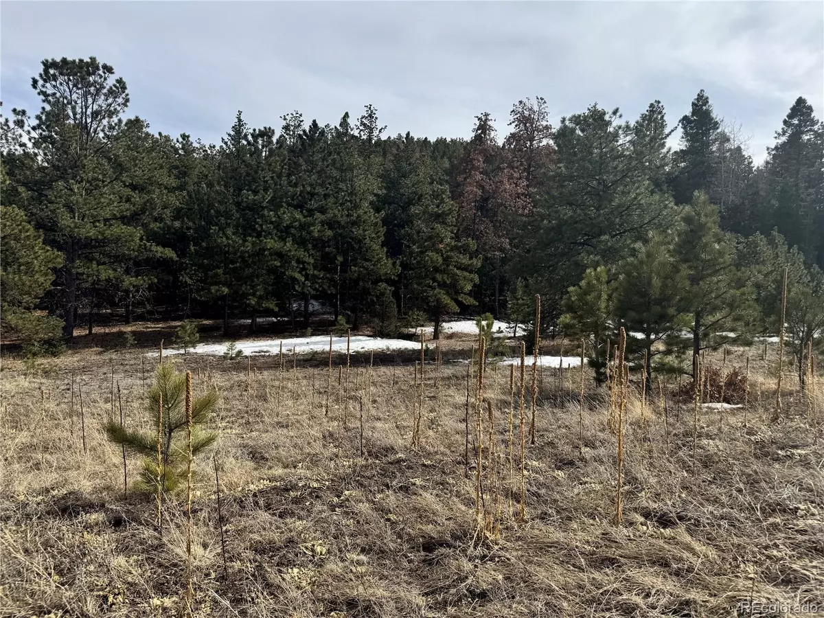 Canon City, CO 81212,Rainbow Ridge