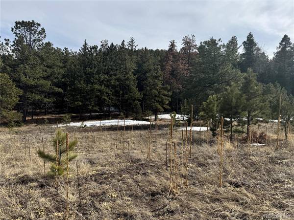 Rainbow Ridge,  Canon City,  CO 81212