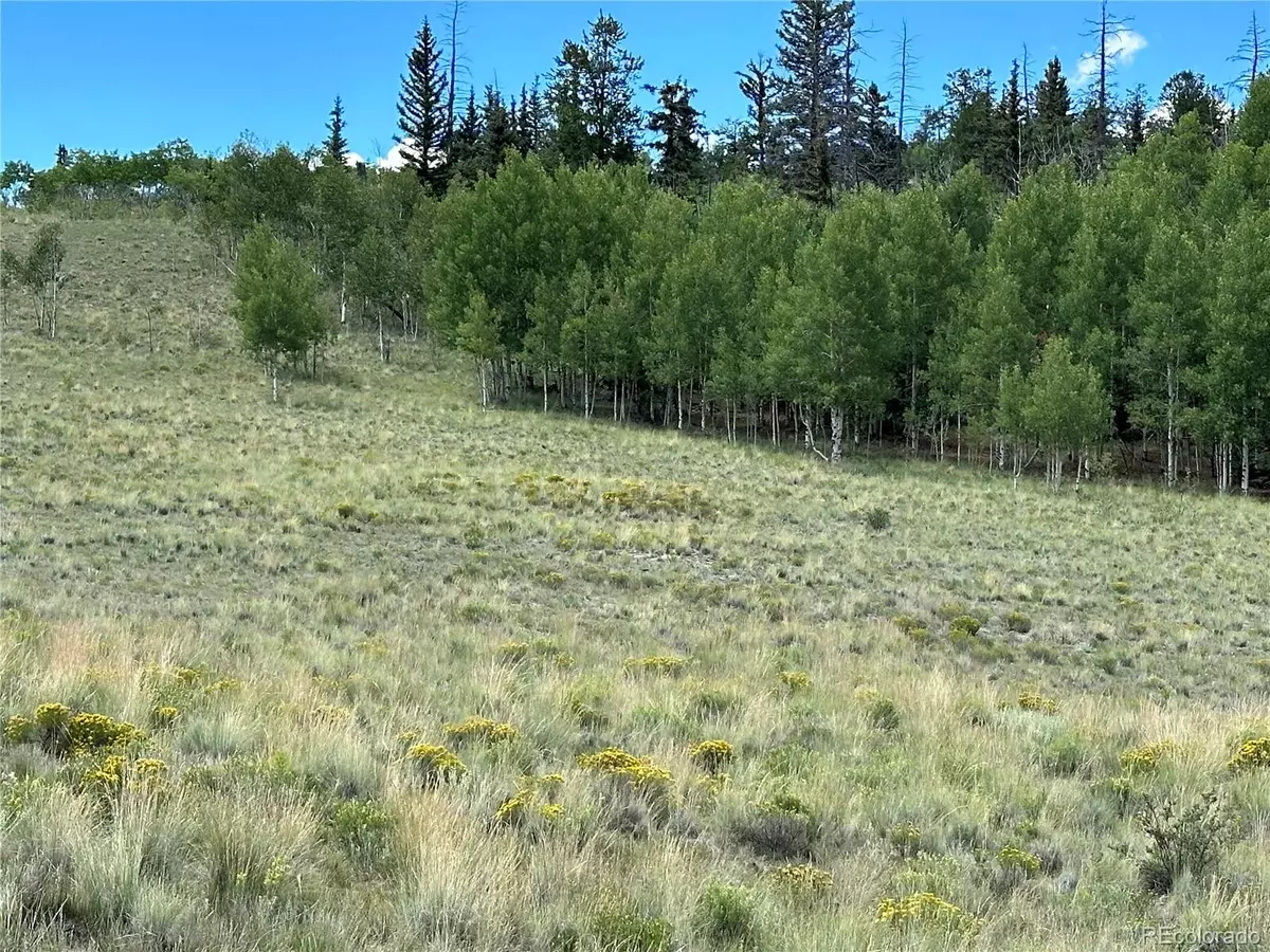 Jefferson, CO 80456,95 Wabeno CT