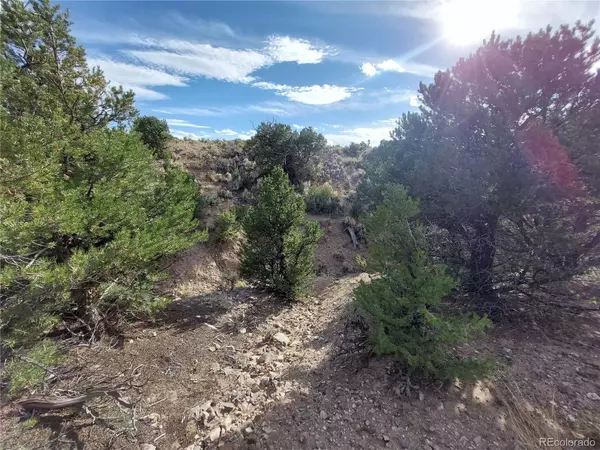 Fort Garland, CO 81133,Lot 4132 Barker RD