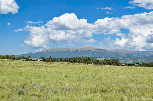 Guffey, CO 80820,101 View LN