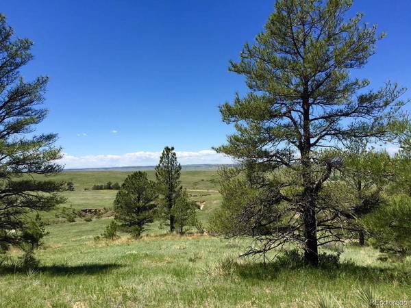 Deer Trail, CO 80105,Parcel E