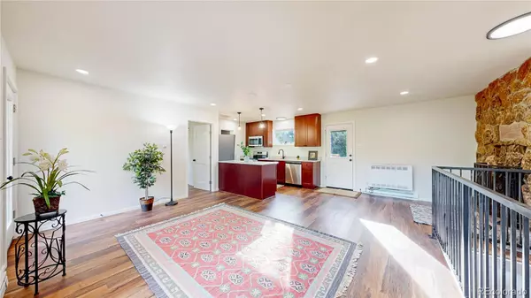 225 Renaud RD, Bailey, CO 80421