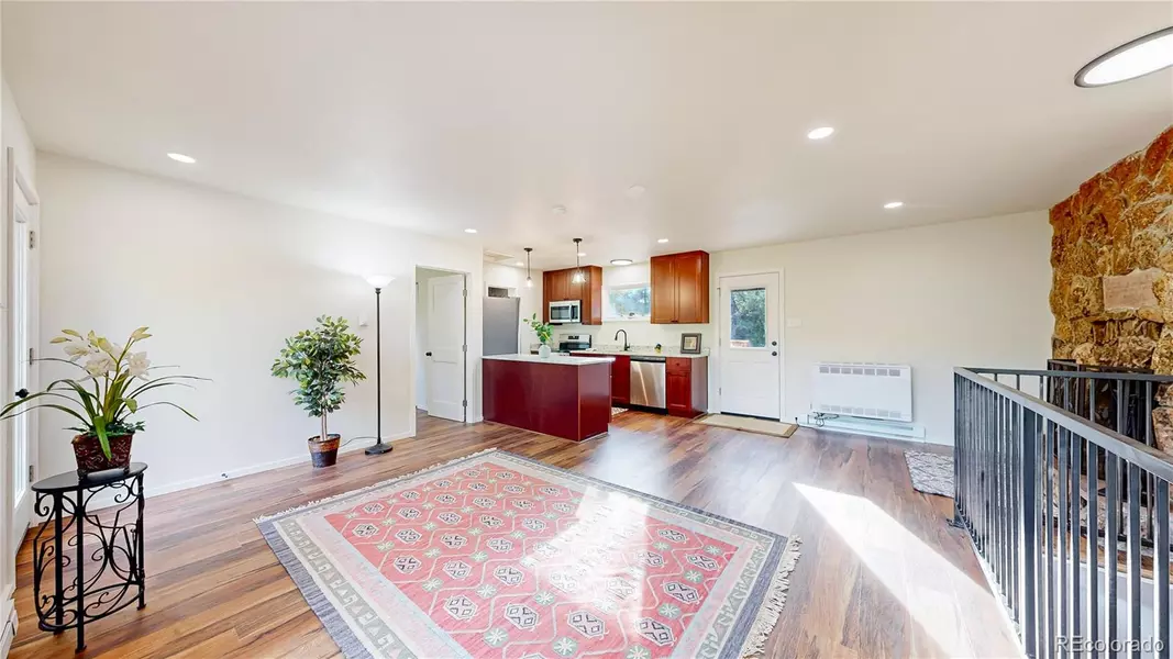 225 Renaud RD, Bailey, CO 80421