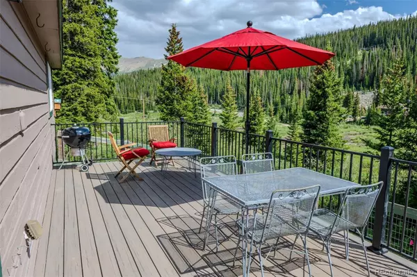 Breckenridge, CO 80424,46 Mcdill RD