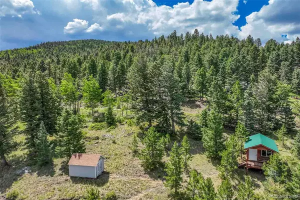 377 Cover Valley RD, Guffey, CO 80820